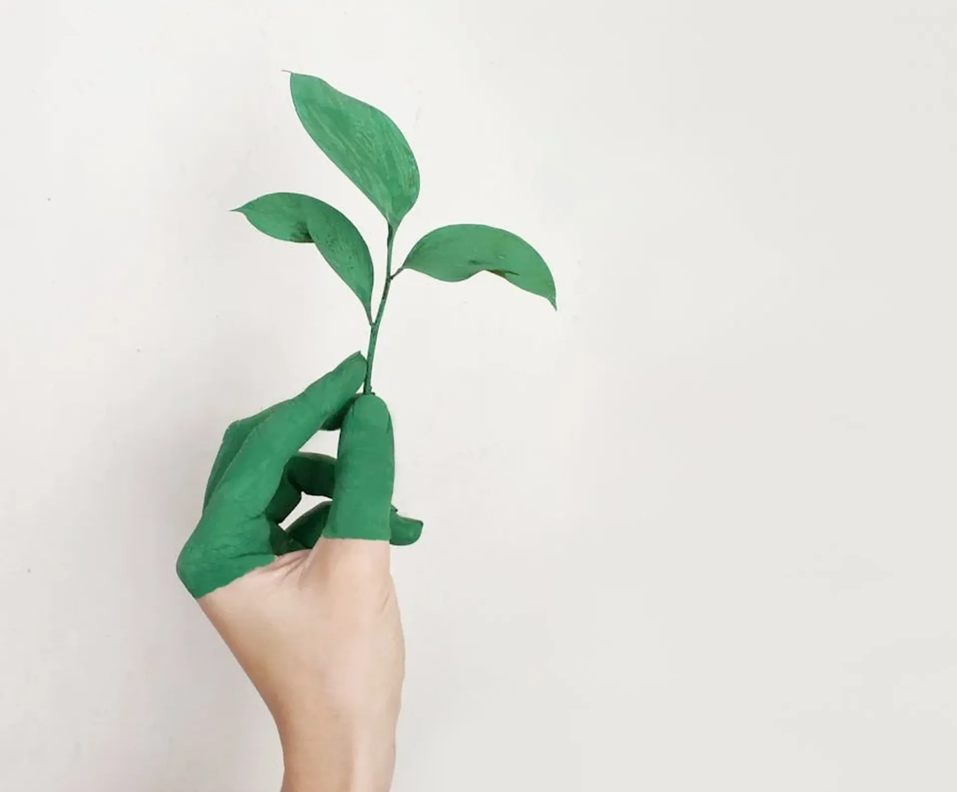 Listki w ręku - dłoń pomalowana do połowy na zielono w barwach trzymanej rośliny